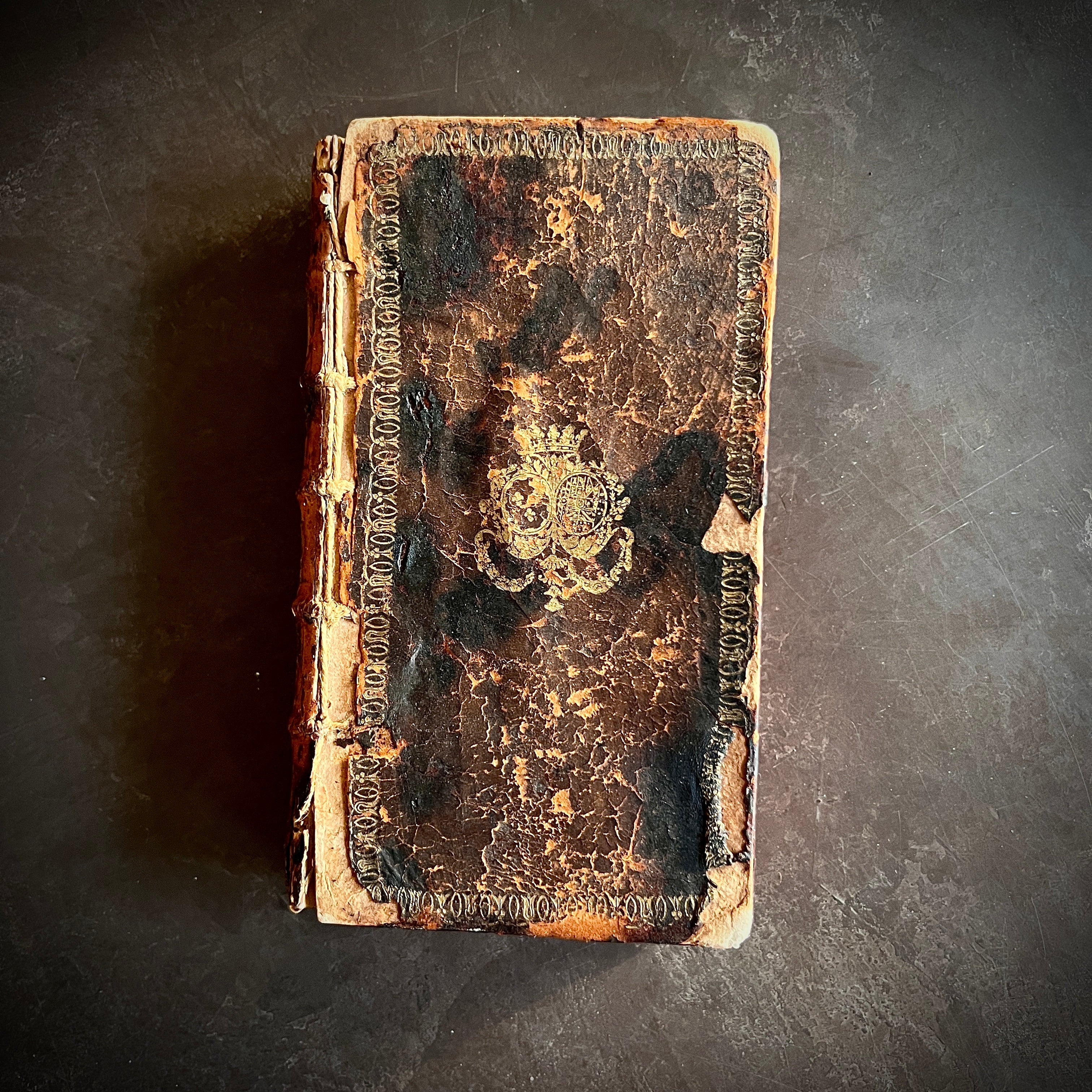 43663903-0C7B-4EE7-88A4-