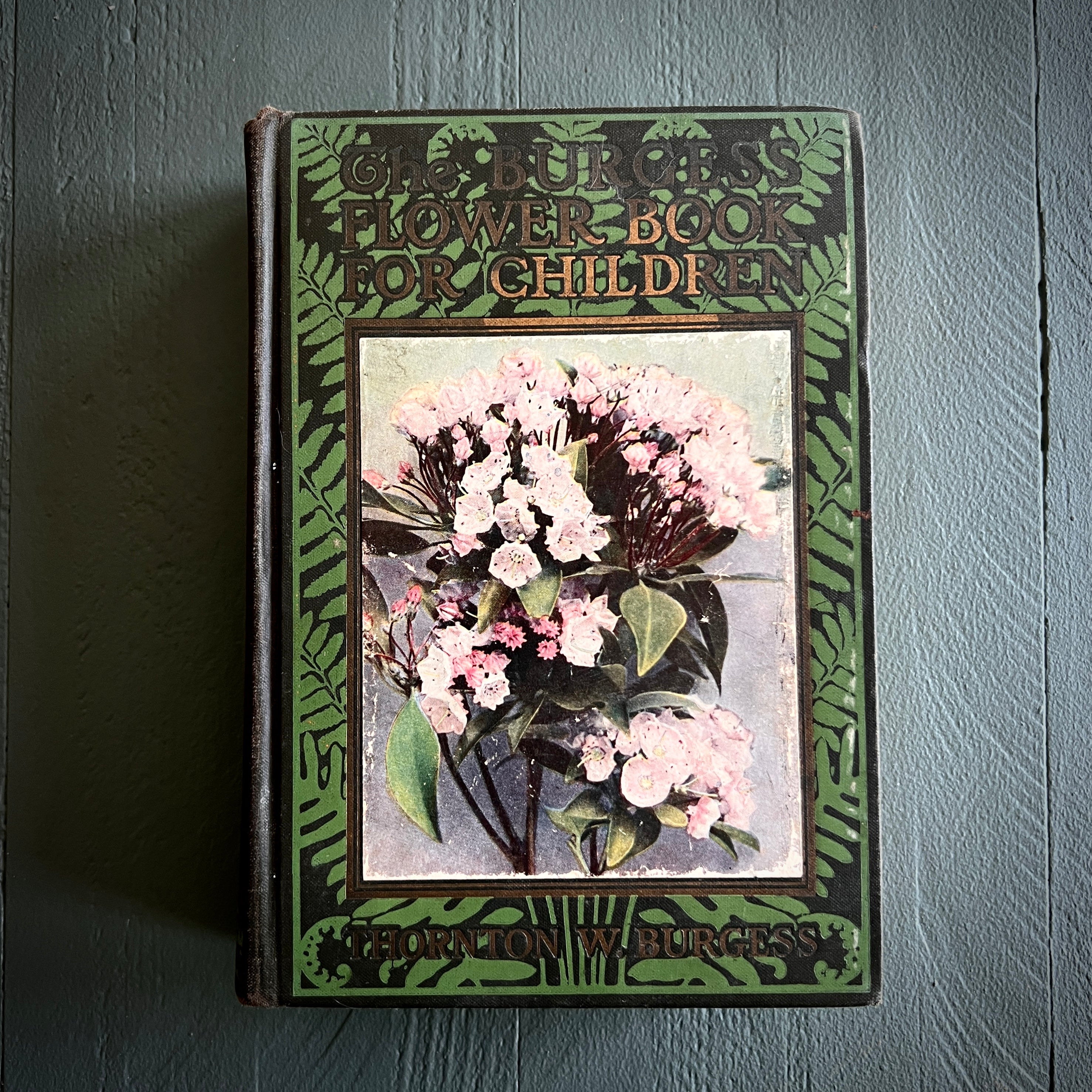 1923 The Burgess Flower Book For Children, Signed/Inscription By Aut