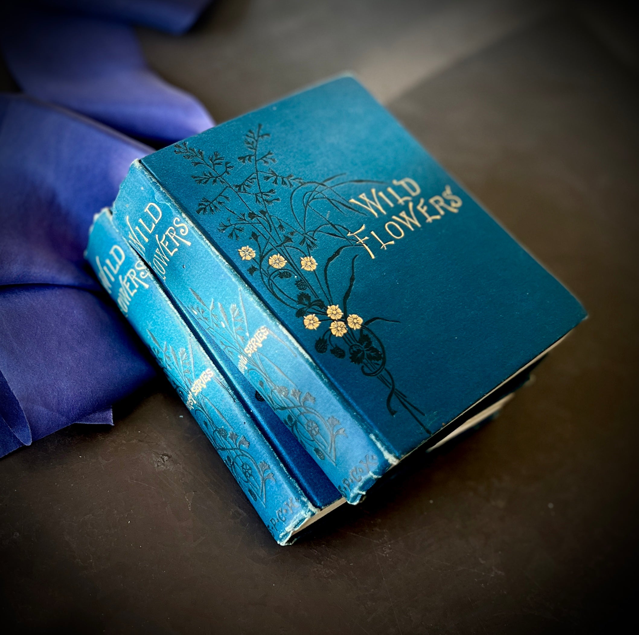 超希少 1876年 アンティーク WILD FLOWERS 手彩色 大型本 1886 - Wild Flowers- First & Second Series by Anne Pratt| With 96