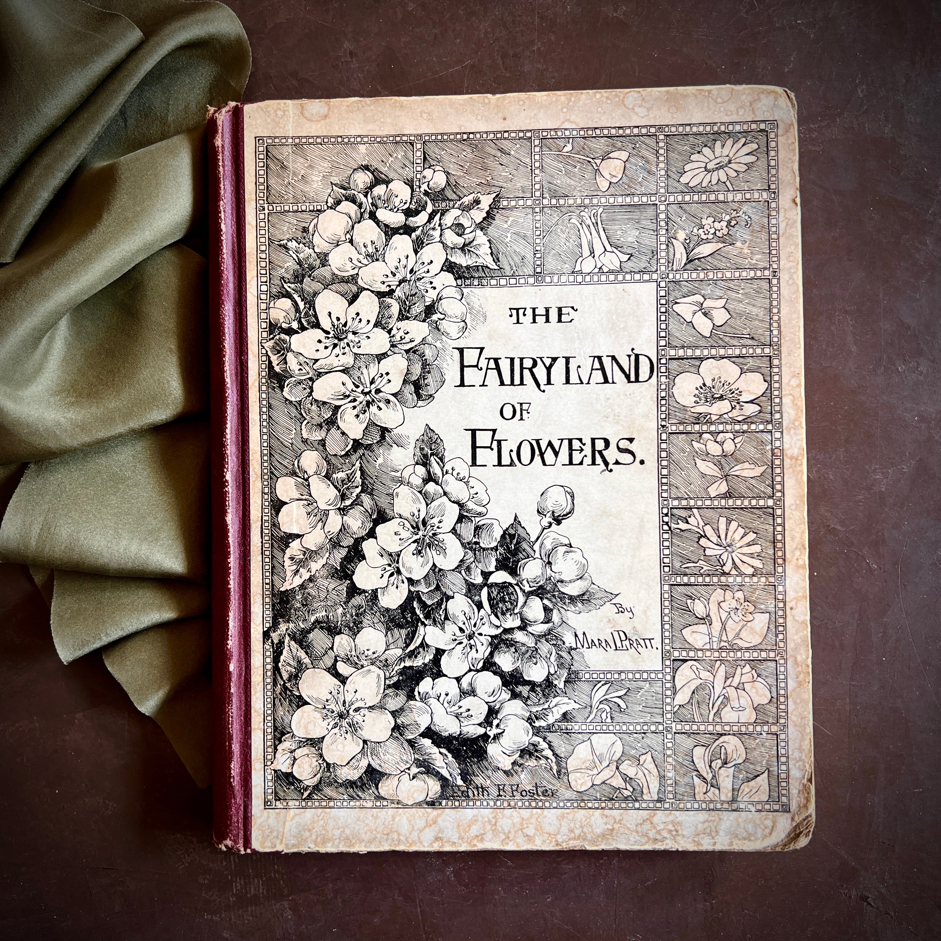 The Fairyland of Flowers (1890) – A Popular Illustrated Botany by