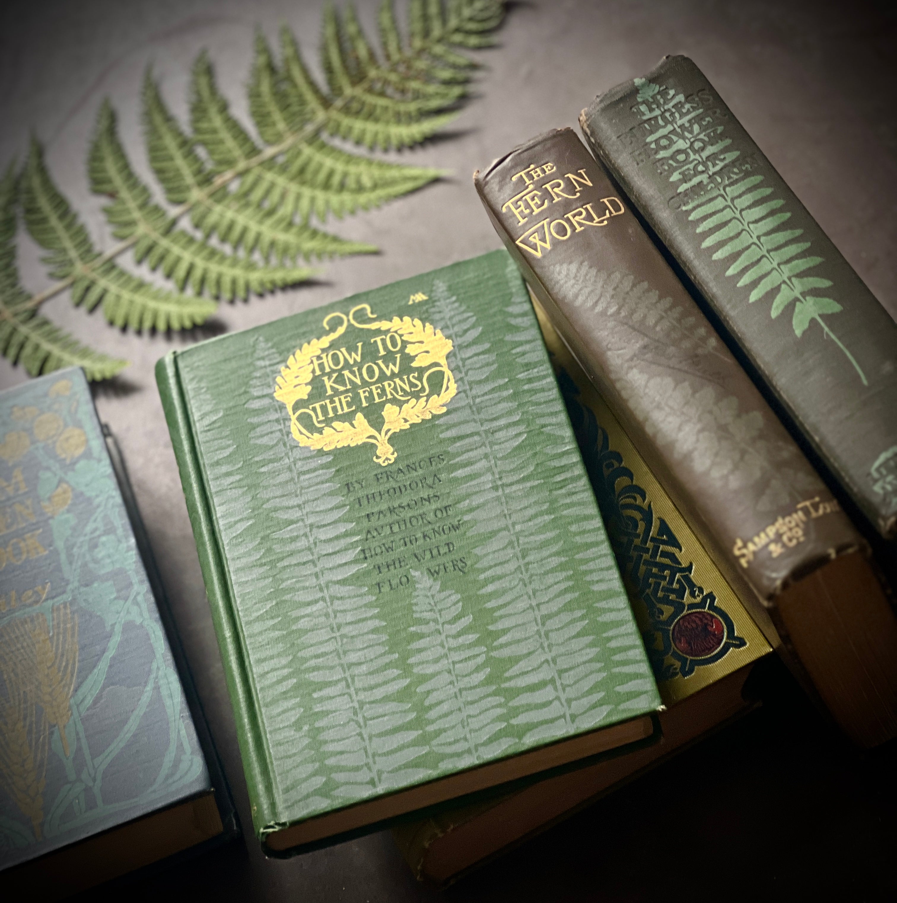 1915 - How To Know The Ferns – Honey Bee Mill