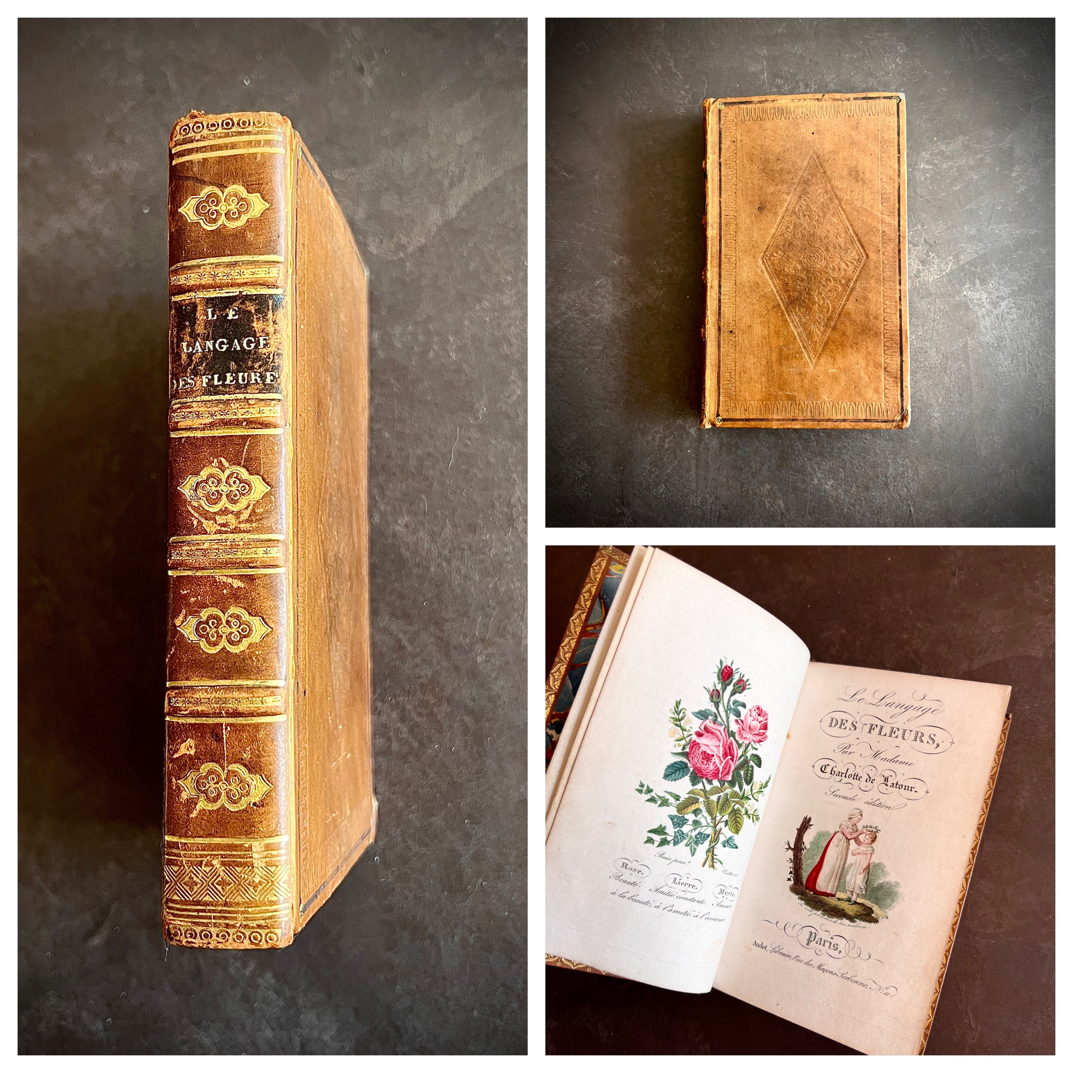c.1829 - Le Langage Des Fleurs – Honey Bee Mill
