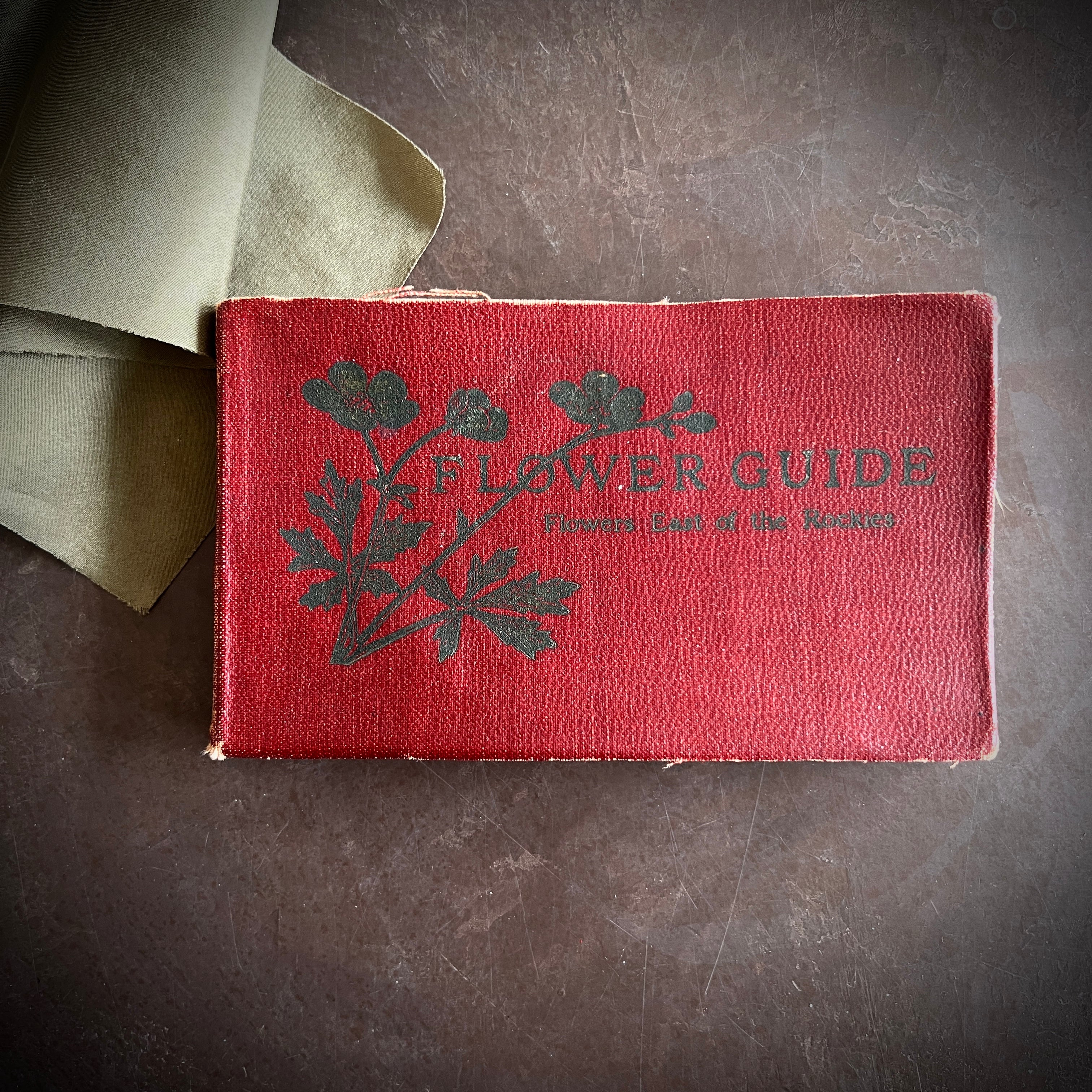 Flower Guide: Wild Flowers East of the Rockies by Chester A. Reed