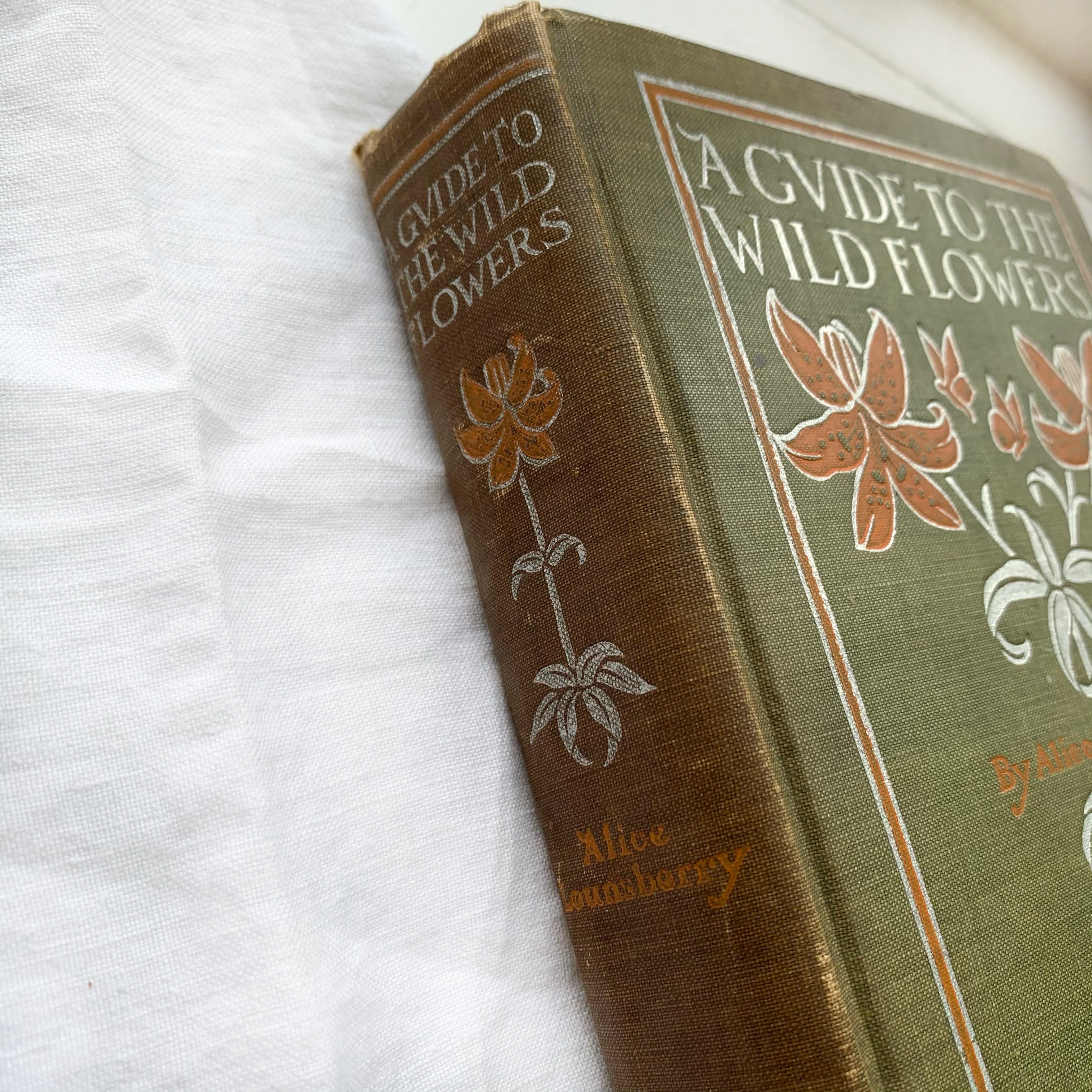 1899 - A Guide to Wild Flowers, First Edition – Honey Bee Mill