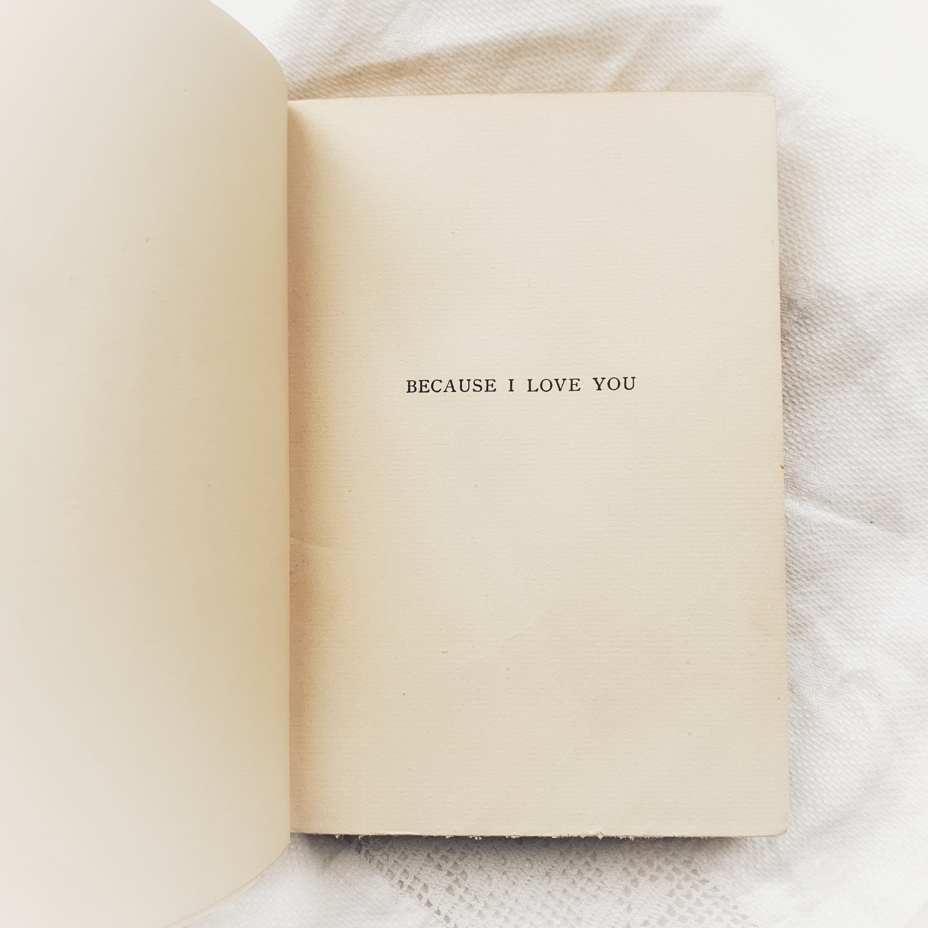 Tumblr-accent : r/tumblr, image size:3024x3024