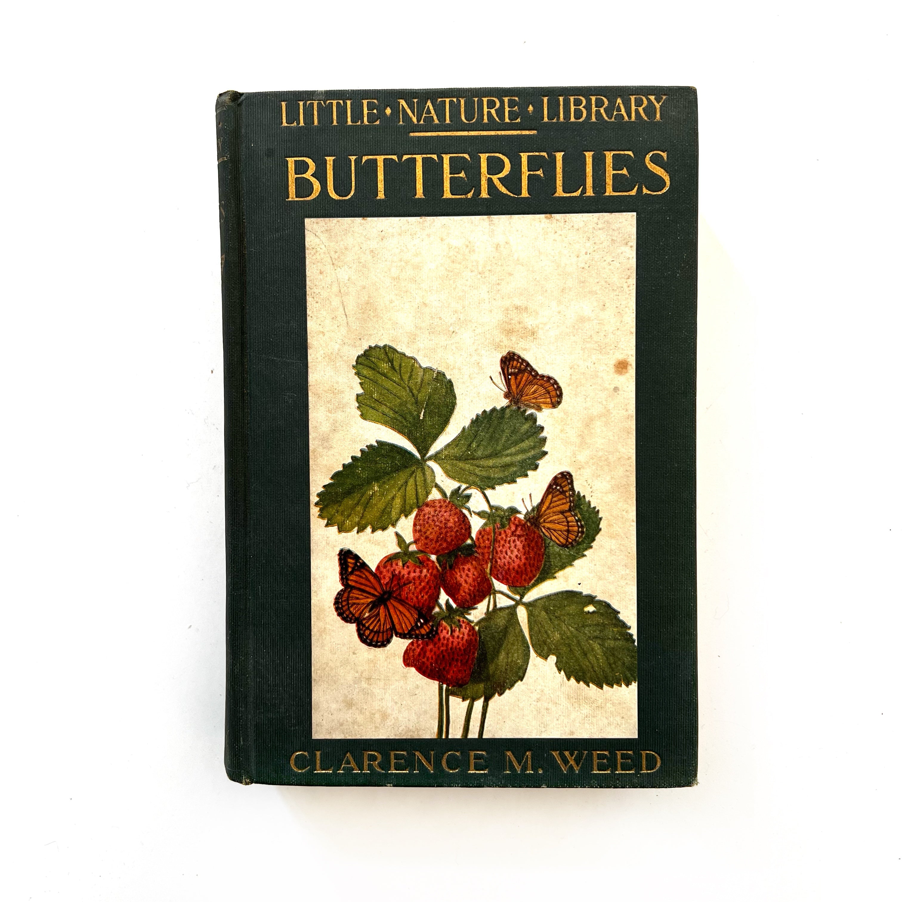 1922 - Little Nature Library; Butterflies – Honey Bee Mill
