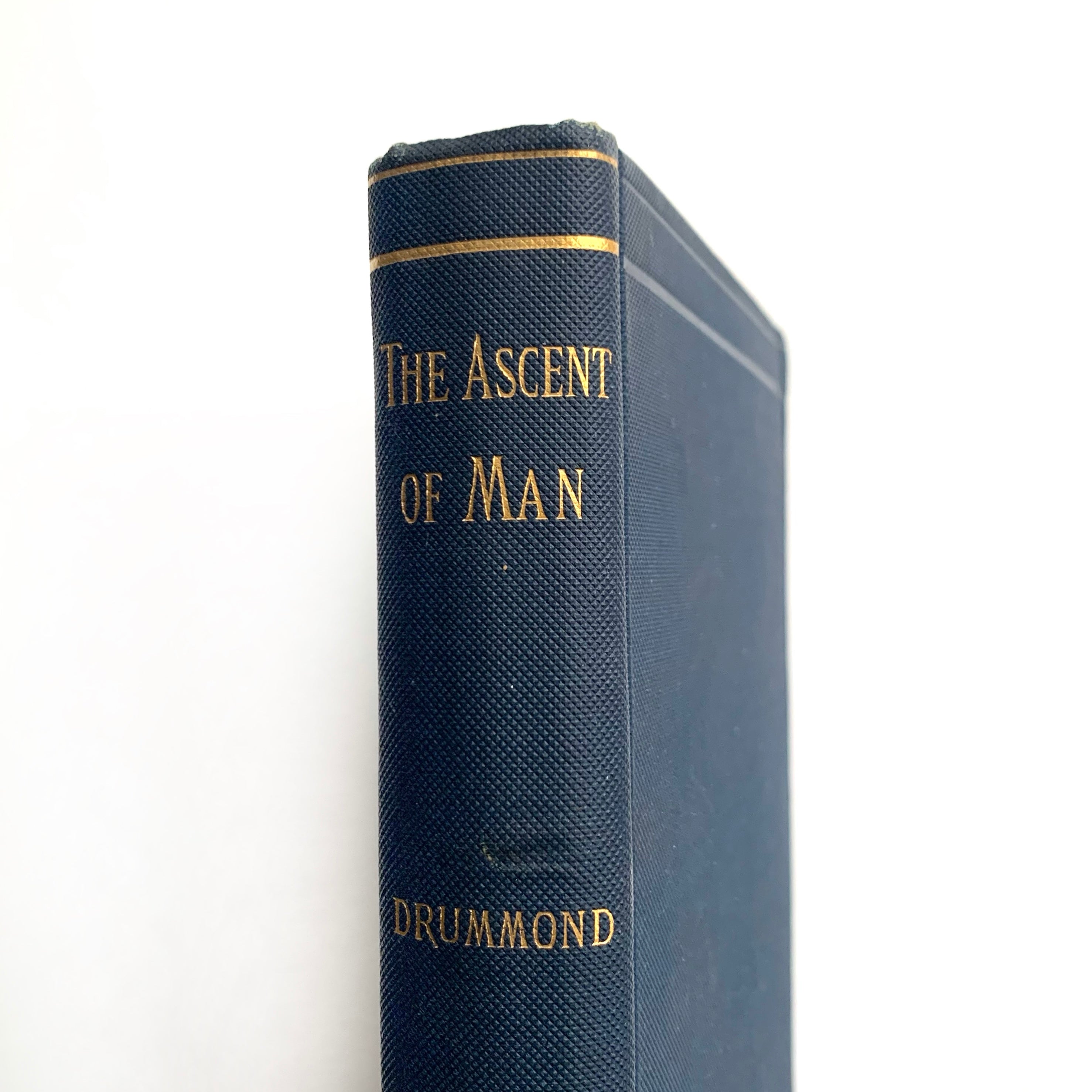 1894 - The Ascent of Man – Honey Bee Mill