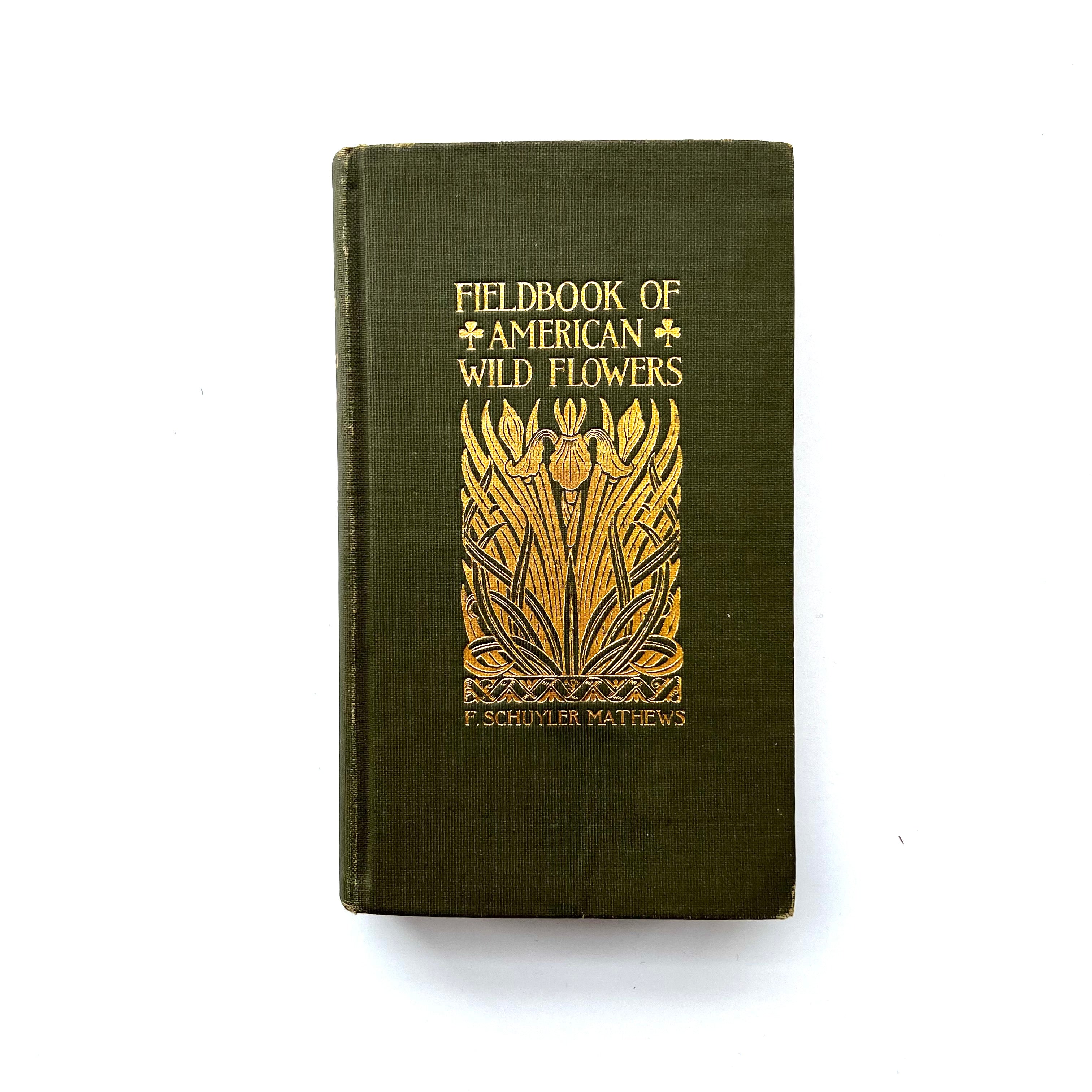 1927 - FieldBook of American Wild Flowers – Honey Bee Mill