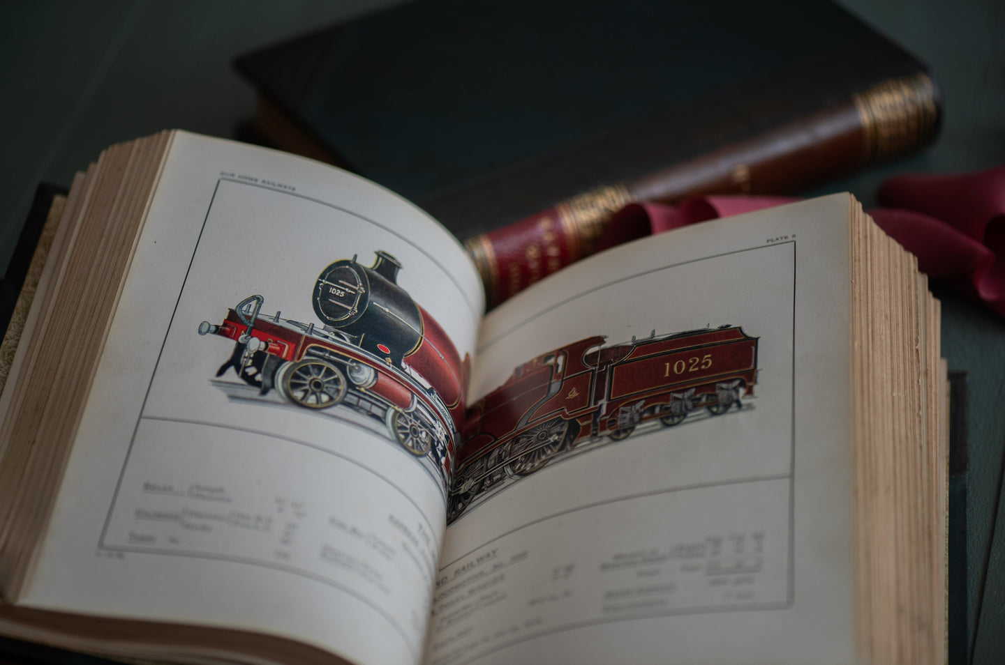 The Twelve Days of Bibliophilia