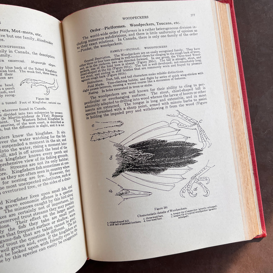 Birds of Canada by P.A. Taverner (1949 Revised Edition)