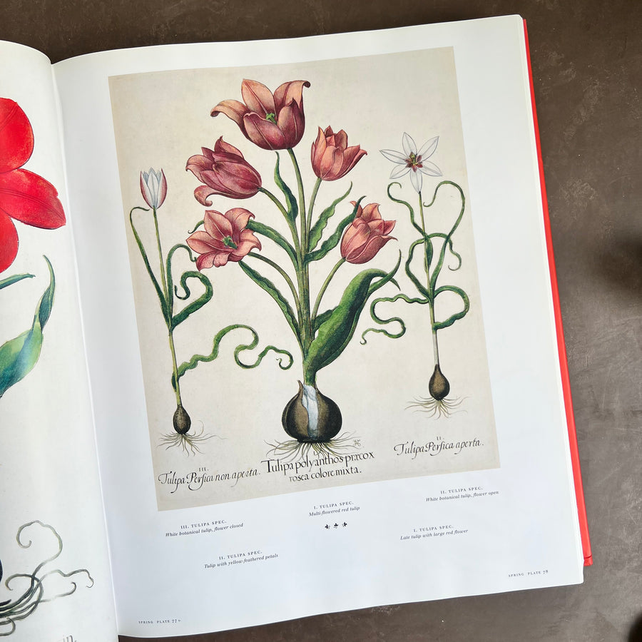 Botanical Pattern Book 2007 - The Book of Botanical Prints; The Complete Plates – Honey Bee Mill