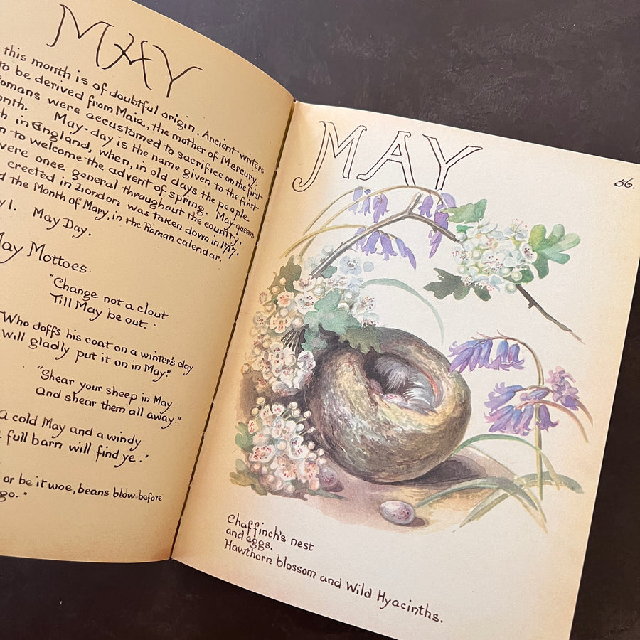 The Country Diary of An Edwardian Lady by Edith Holden, (1979) | Illustrated Nature Diary