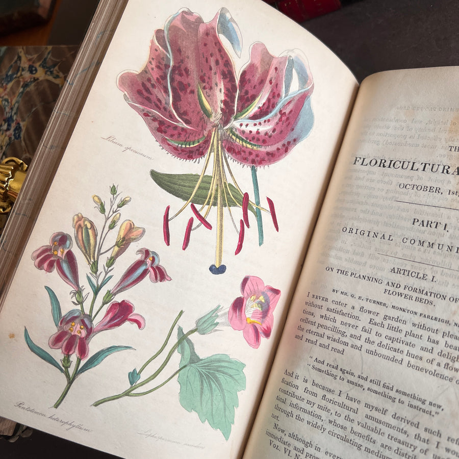 The Floricultural Cabinet and Florist’s Magazine | Fine Binding — Volume for 1838, Hand-Coloured Botanical Plates, Joseph Harrison (1830s–1840s)