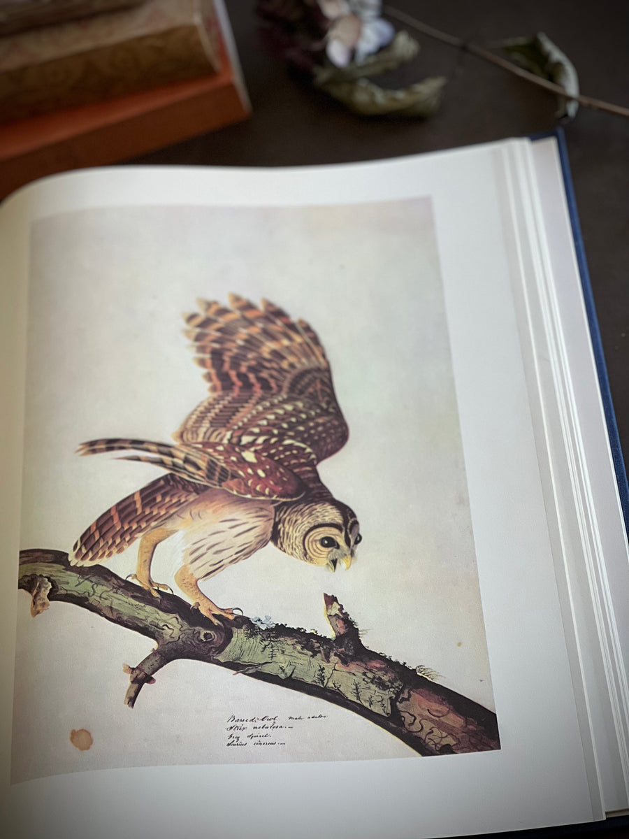 1966 - The Original Water Color Paintings By John James Audubon for The Birds Of America