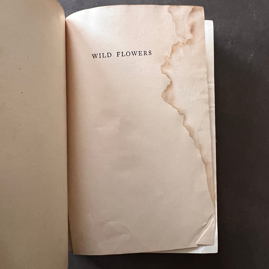 1909 - Wild Flowers Every Child Should Know, First Edition