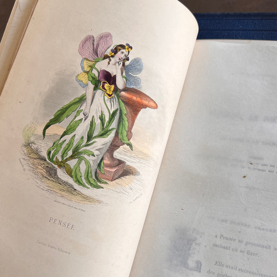 1867 Les Fleurs Animées – Grandville’s Botanical Anthropomorphism Masterpiece l 2-Volumes