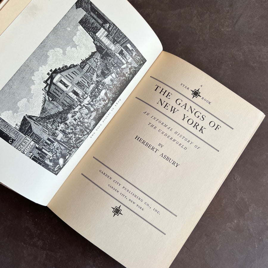 1928 - The Gangs of New York; An Informal History of the Underworld