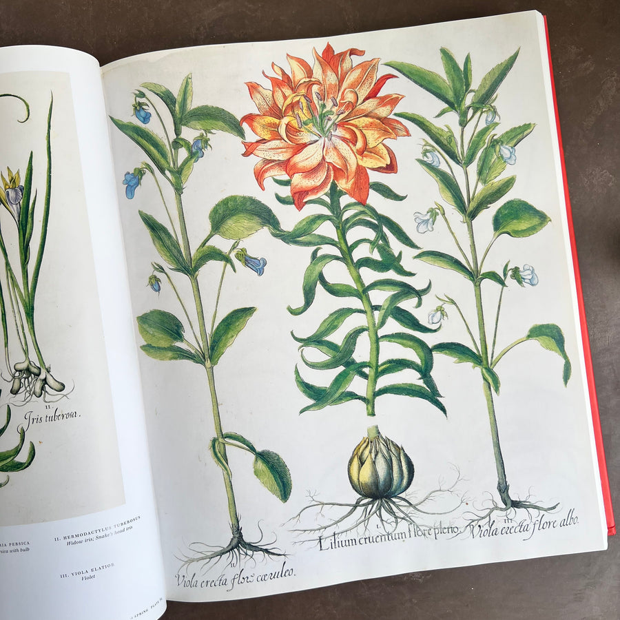 Botanical Pattern Book 2007 - The Book of Botanical Prints; The Complete Plates – Honey Bee Mill