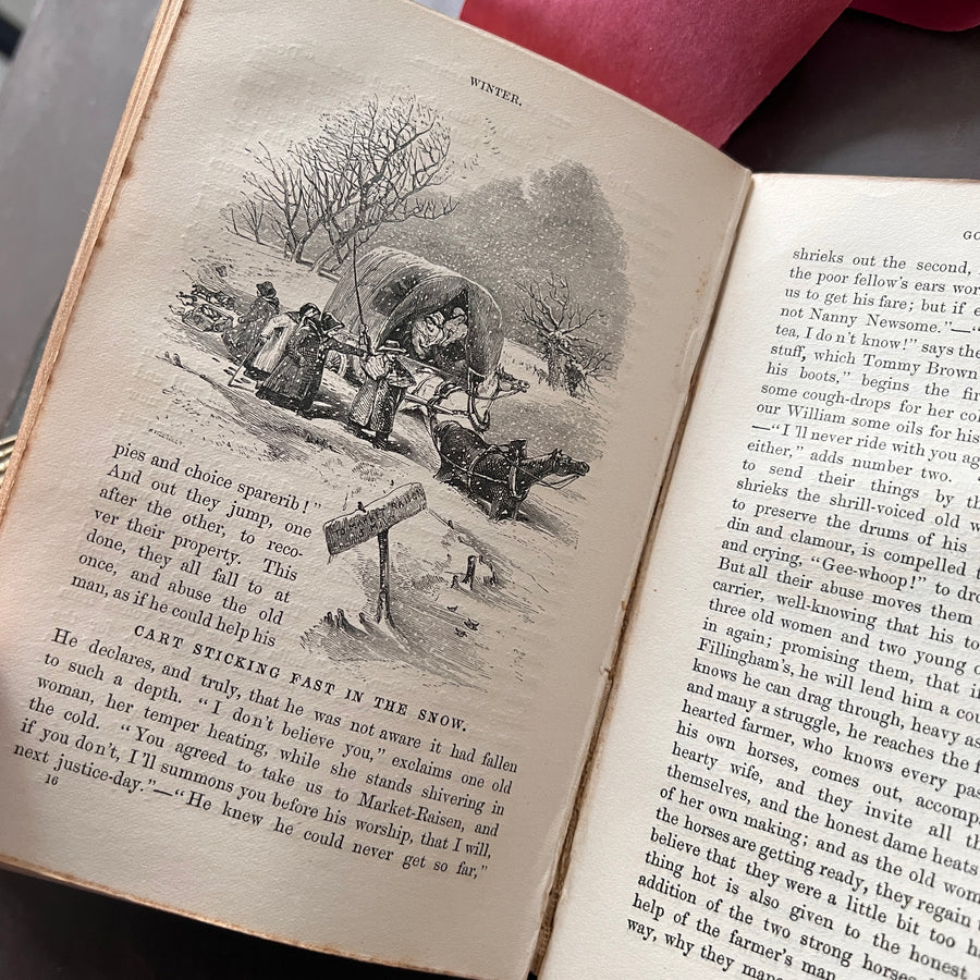 c.1859 - The Country Year Book: Descriptive of the Seasons, Rural Scenes and Rustic Amusements; Birds, Insects, and Quadrupeds