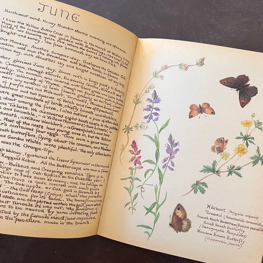 The Country Diary of An Edwardian Lady by Edith Holden, (1979) | Illustrated Nature Diary