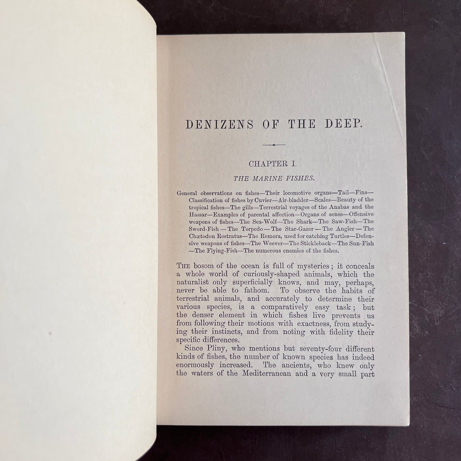 1893 - Denizens of the Deep; An Account of Fishes, Molluscs, Crustacea, etc.