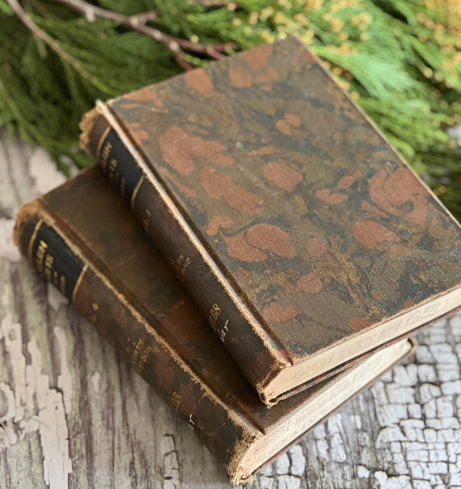 1895 - Antique Poetry Collection