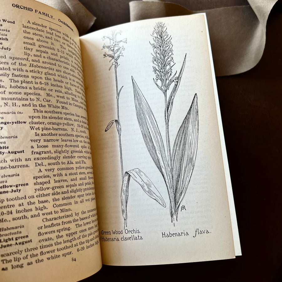 1927 - Field Book Of American Wild Flowers