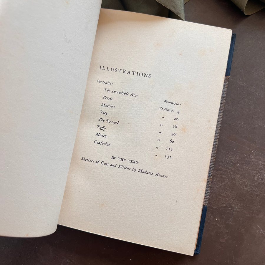 The Soul of a Cat and Other Stories — Margaret Benson (1901) | Fine Custom Binding with Marbled Endpapers