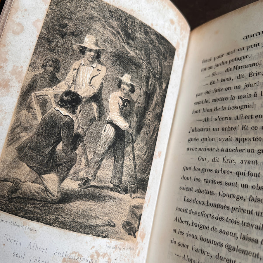 Les Émigrants – Gustave Nieritz | Illustrated | c.1840s-1850s | Gilt Architectural Motif and Gilt Urn to Boards