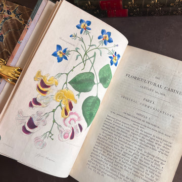 The Floricultural Cabinet and Florist’s Magazine | Fine Binding — Volume for 1838, Hand-Coloured Botanical Plates, Joseph Harrison (1830s–1840s)