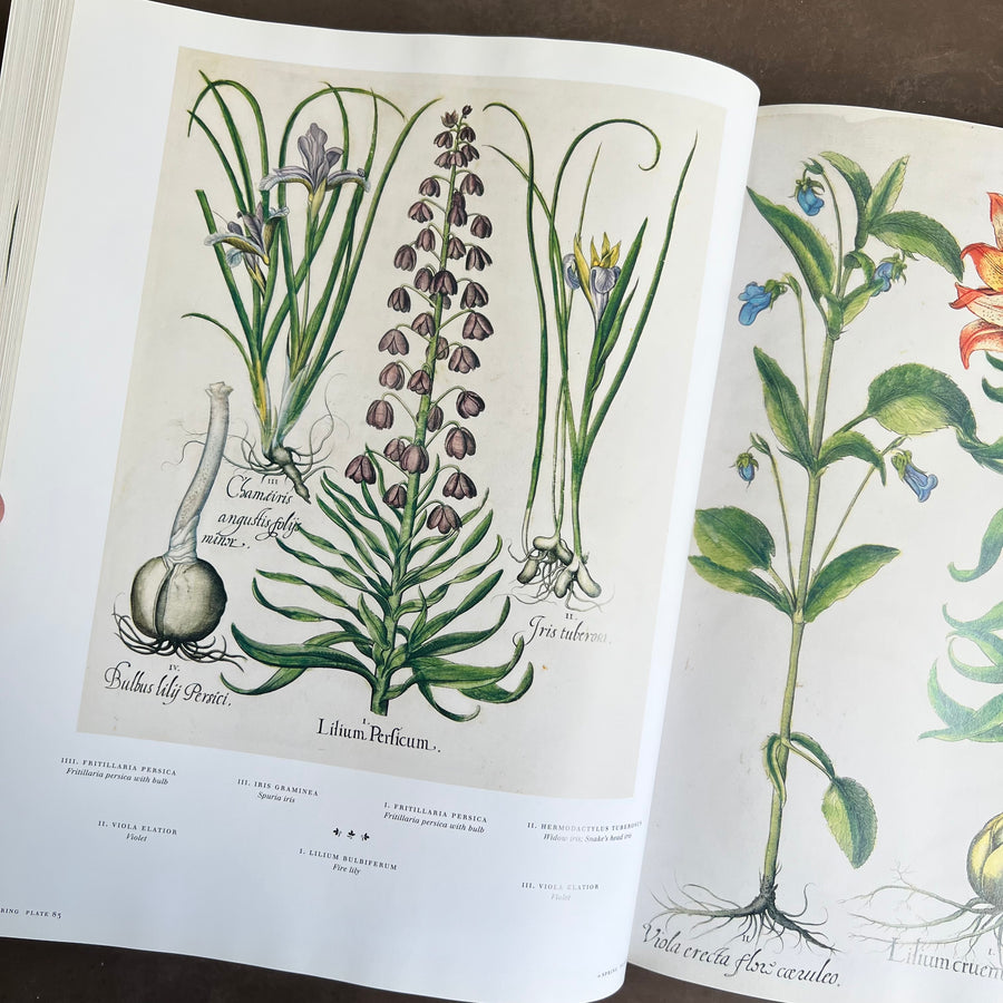 Botanical Pattern Book 2007 - The Book of Botanical Prints; The Complete Plates – Honey Bee Mill