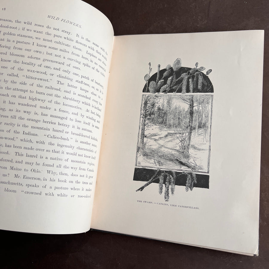 Wild Flowers and Where They Grow (1882)
