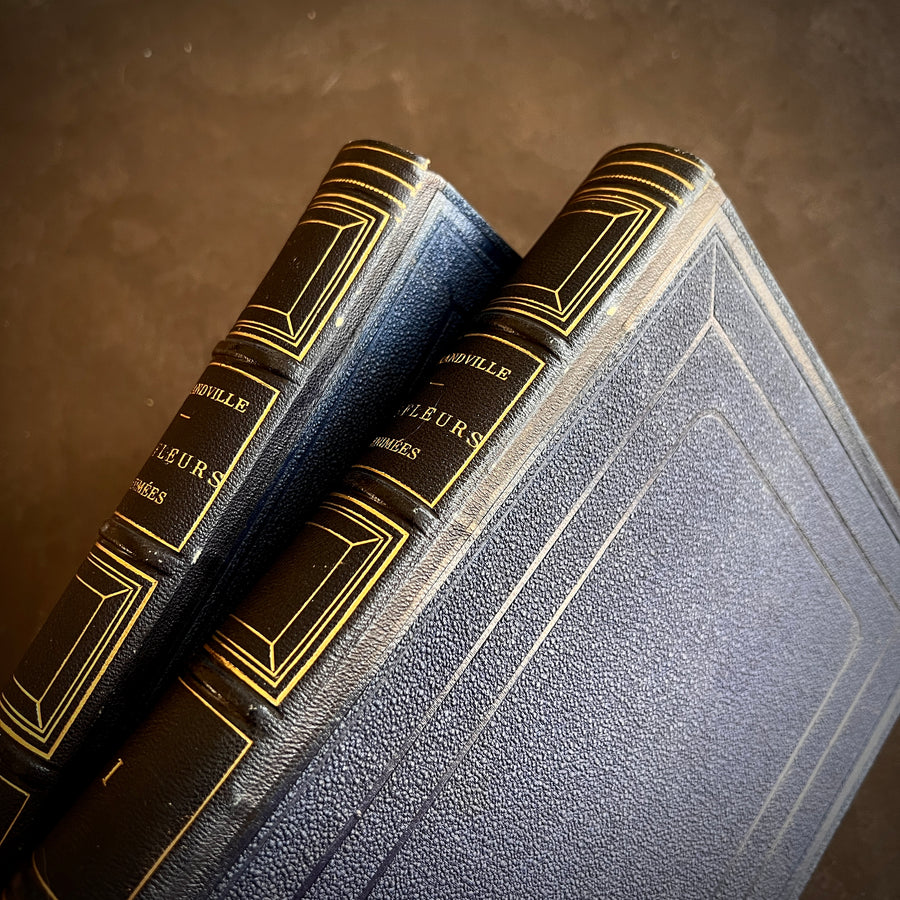 1867 Les Fleurs Animées – Grandville’s Botanical Anthropomorphism Masterpiece l 2-Volumes