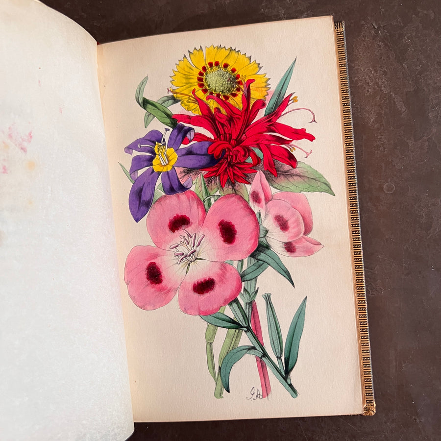 c.1853 - Flowers From Foreign Lands; Their History and Botany