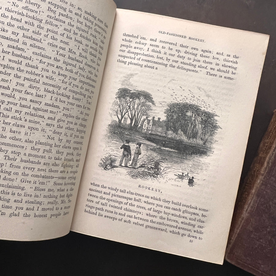 c.1859 - The Country Year Book: Descriptive of the Seasons, Rural Scenes and Rustic Amusements; Birds, Insects, and Quadrupeds