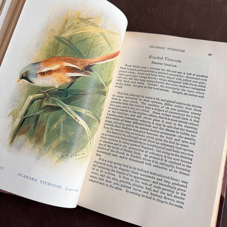 British Birds By W.H. Hudson (1926) | Half Leather Prize Fine Binding