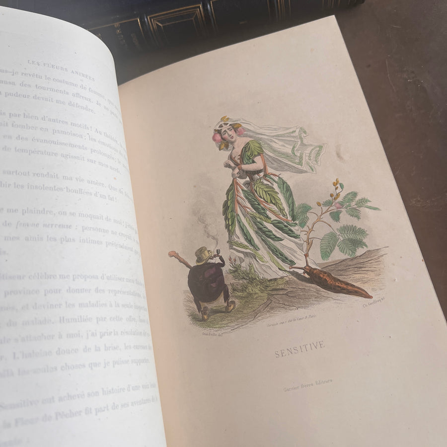1867 Les Fleurs Animées – Grandville’s Botanical Anthropomorphism Masterpiece l 2-Volumes