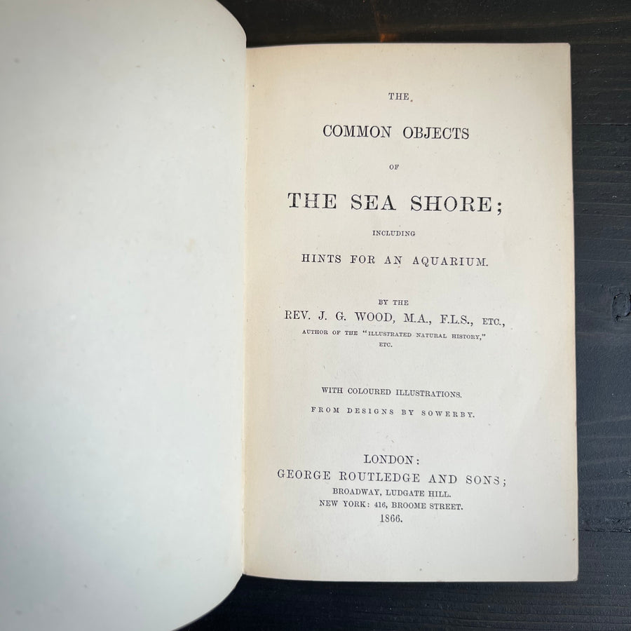 1866 - The Common Objects of The Sea Shore