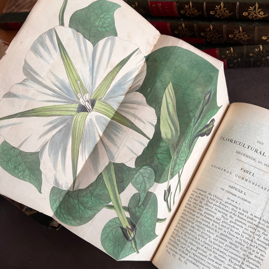 The Floricultural Cabinet and Florist’s Magazine | Fine Binding — Volume for 1838, Hand-Coloured Botanical Plates, Joseph Harrison (1830s–1840s)