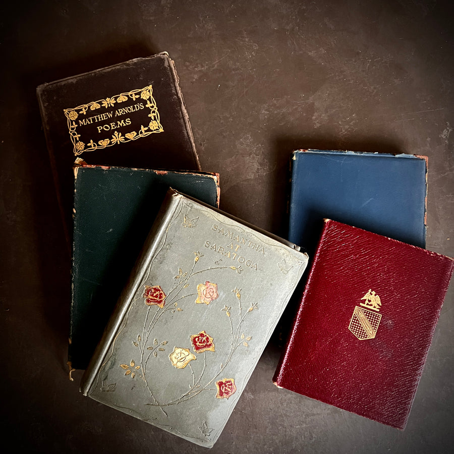 Antique Lit Book Bundle