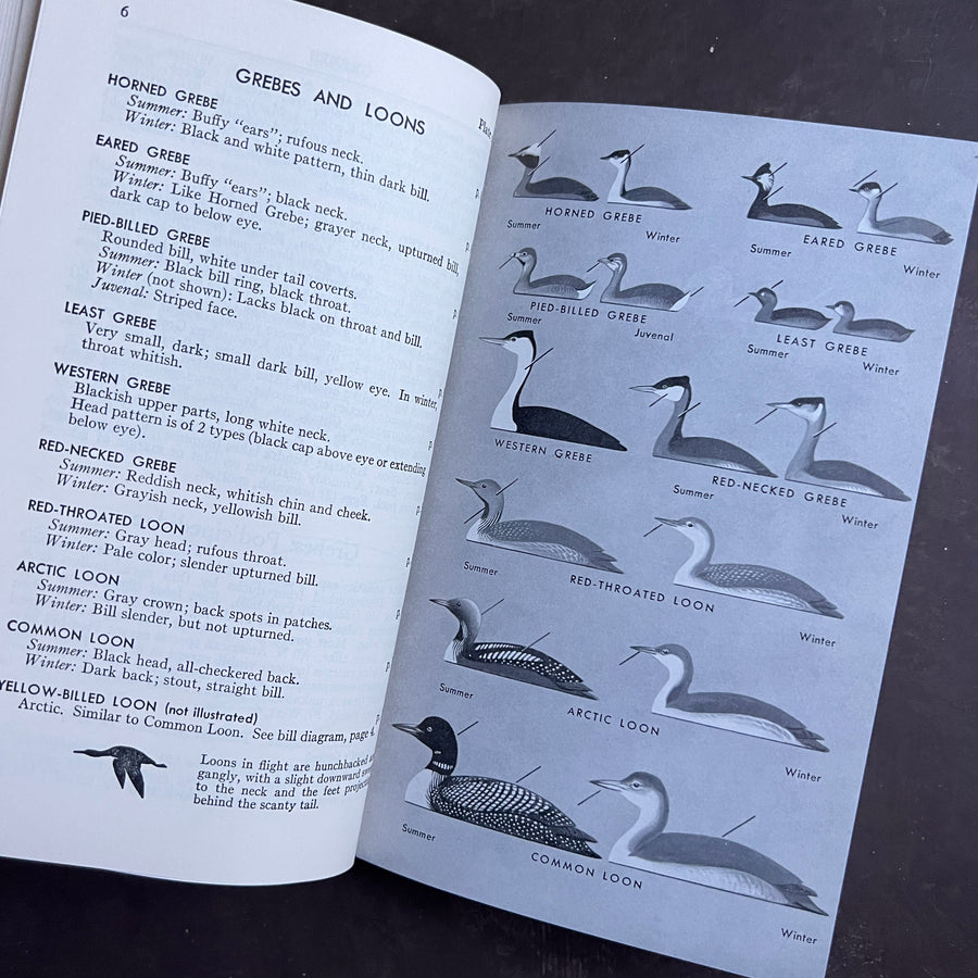 1961 - A Field Guide to Western Birds