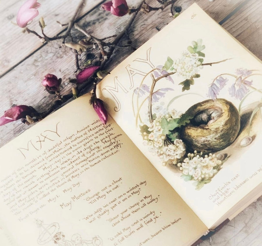 The Country Diary of An Edwardian Lady by Edith Holden, (1979) | Illustrated Nature Diary