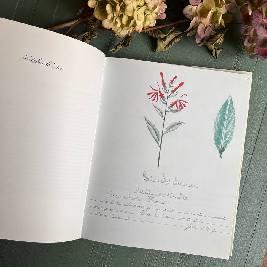 1997 - A Shaker’s Sister’s Drawings; Wild Plants Illustrated By Cora Helena Sarle , First Edition