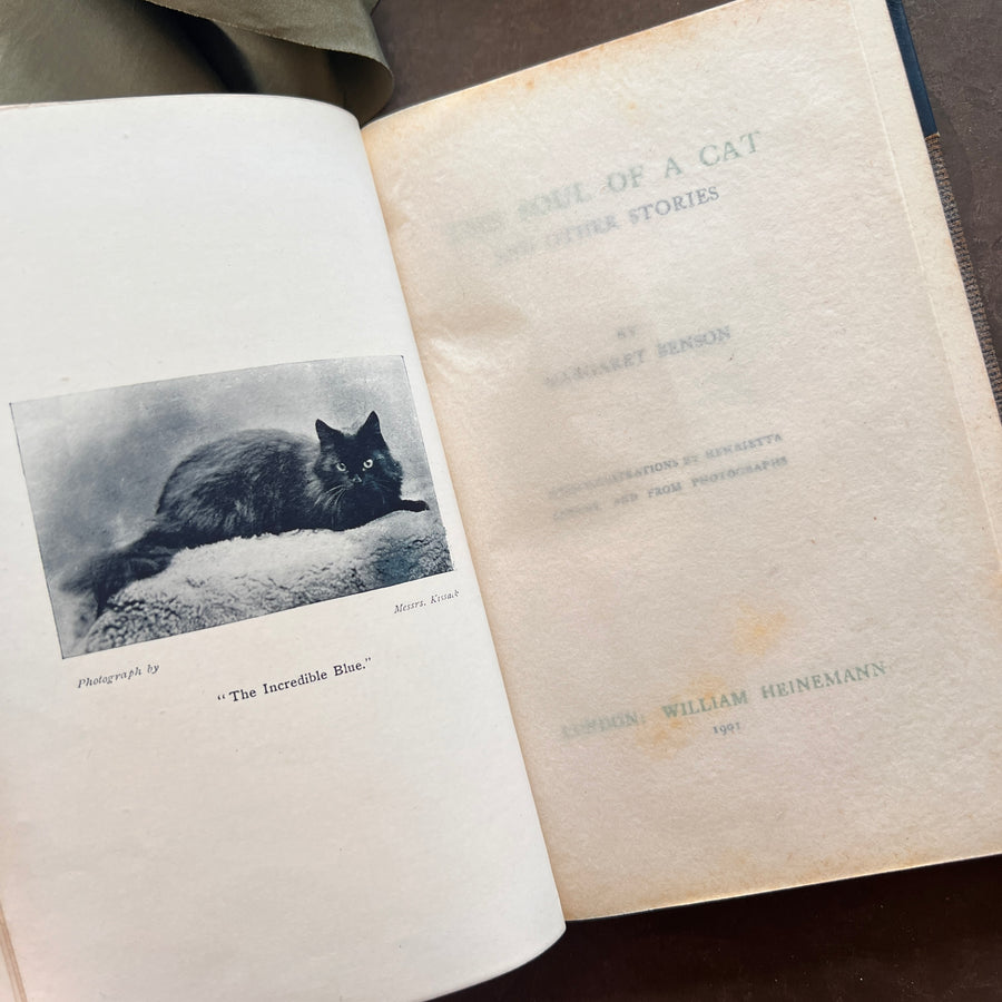 The Soul of a Cat and Other Stories — Margaret Benson (1901) | Fine Custom Binding with Marbled Endpapers