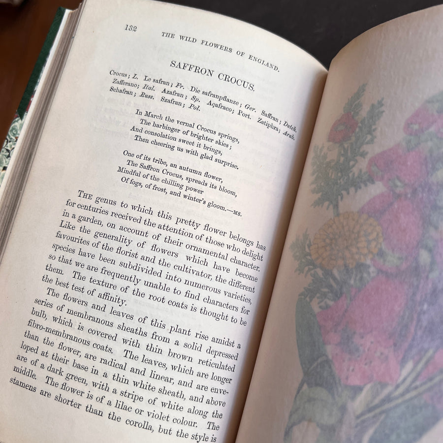 The Wild Flowers of England (1859) | With Hand-Painted Plates