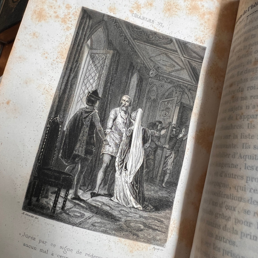 Charles VI: Les Armagnacs et Les Bourguignons by M. Todière | 1848 | Gilt Coat of Arms and Gilt Urn to Boards