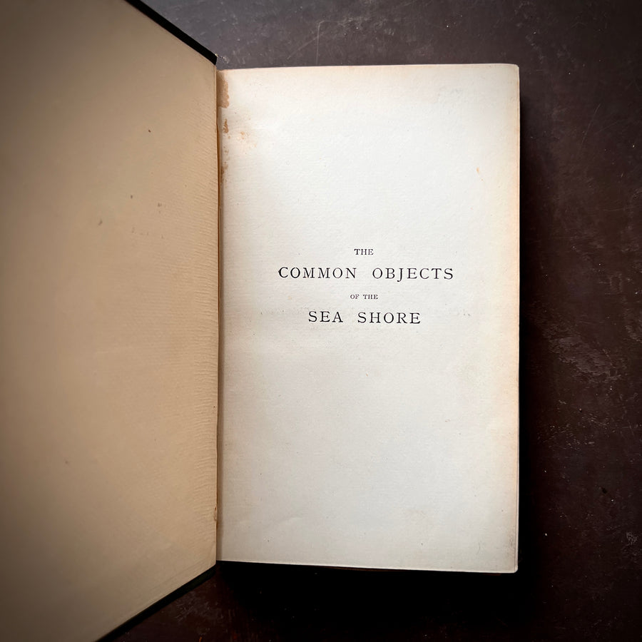 c.1866 - The Common Objects of The Sea Shore