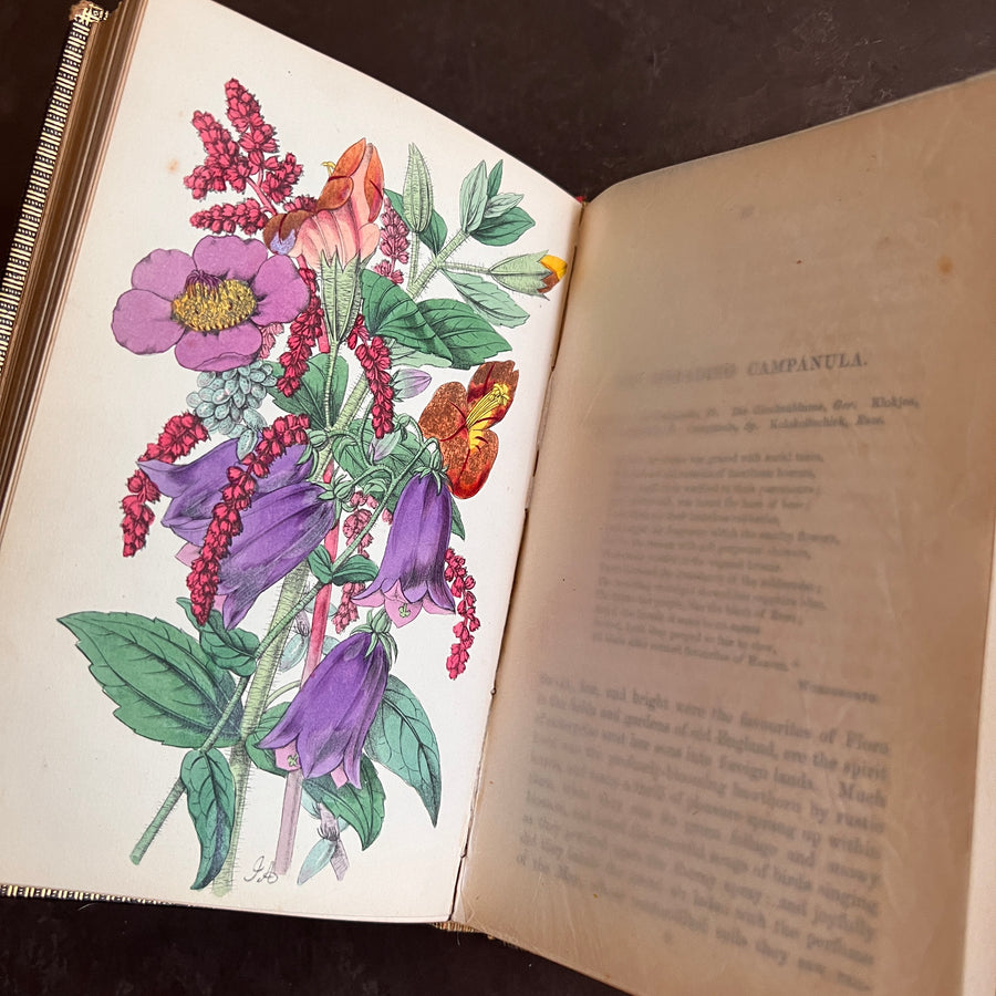 c.1853 - Flowers From Foreign Lands; Their History and Botany