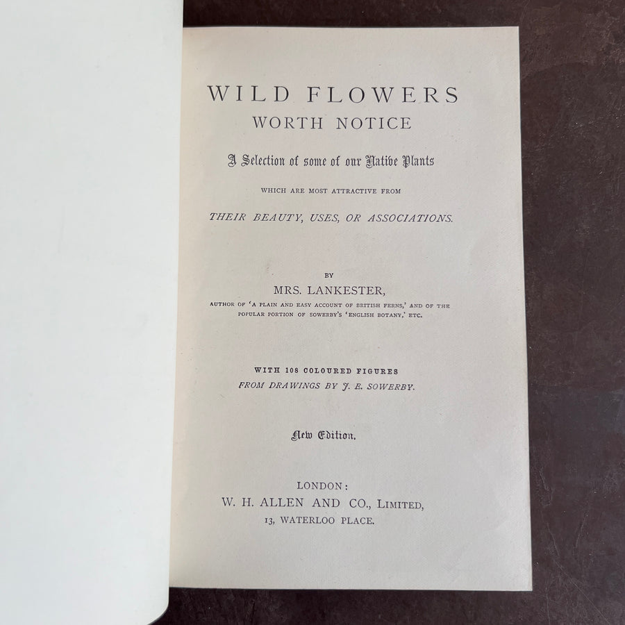 1894 - Wild Flowers Worth Notice; A Selection of Some of our Native Plants Which are Most Attractive From Their Beauty, Uses, or Associations