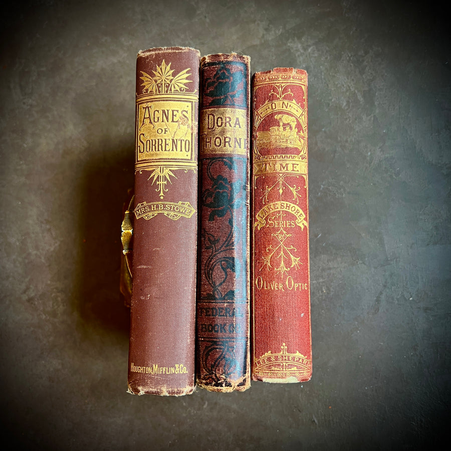 Decorative Antique Book Bundle